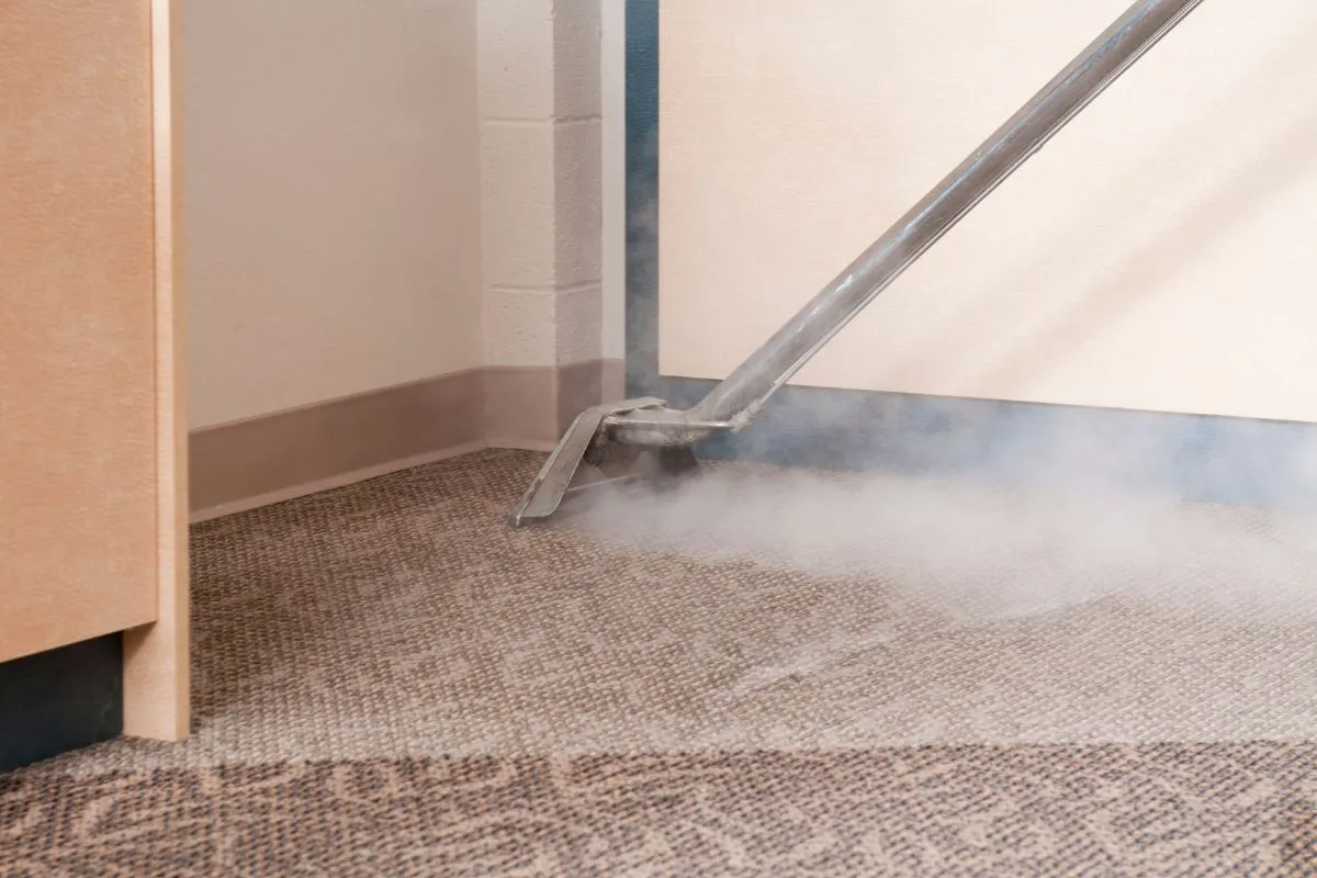Professional hot-water extraction steam cleaning of carpet by Buyher's Carpet & Upholstery Cleaning