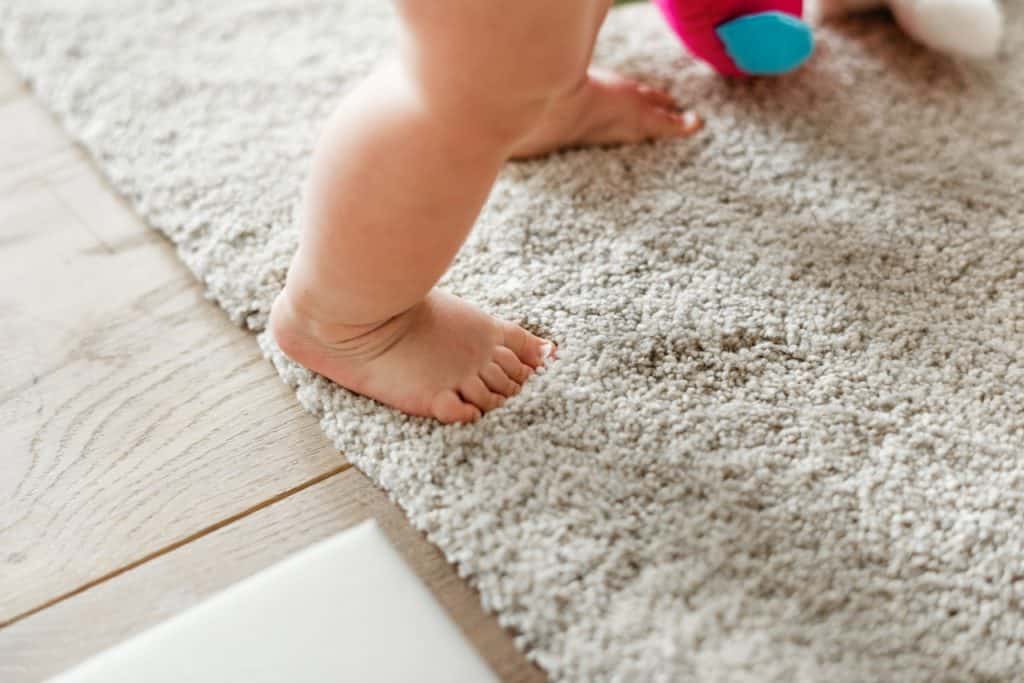 Carpet Cleaning Pre-Conditioning — Buyher's Carpet & Upholstery Cleaning