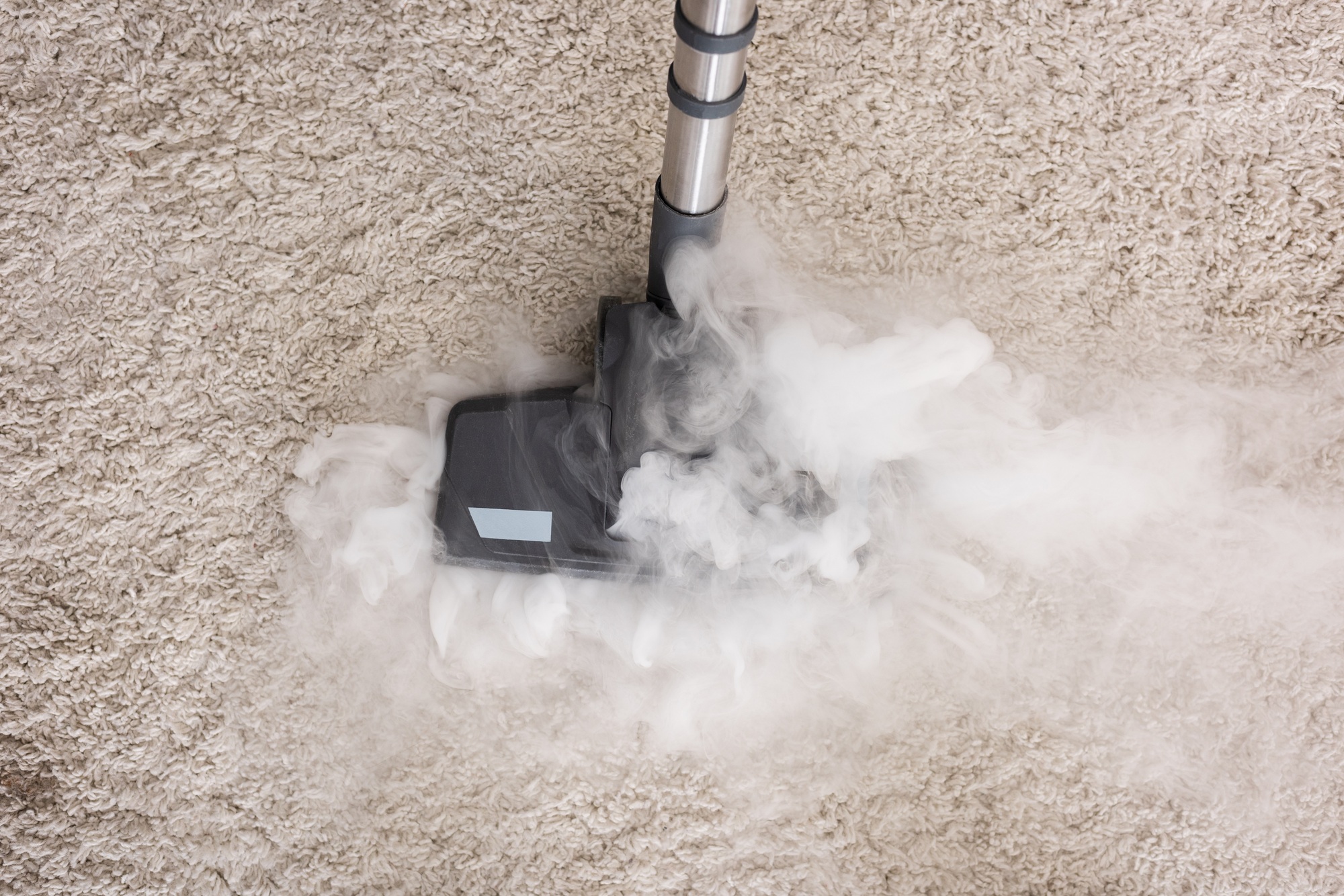 Steam Cleaning — Buyher's Carpet & Upholstery Cleaning