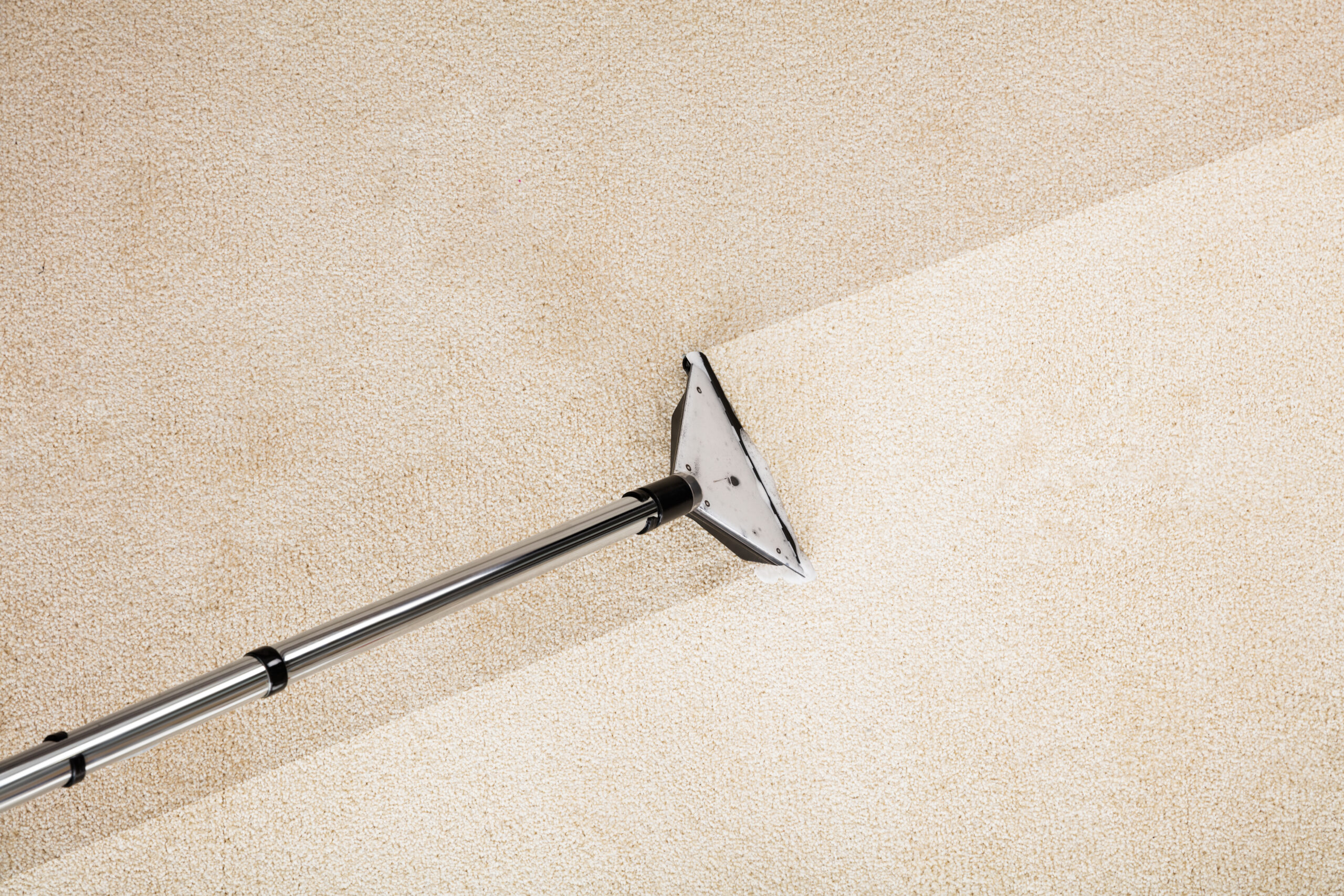Clean carpet in a bright professional office conference room